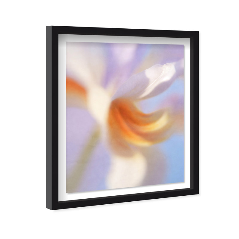 Blurred Venus II Print by Oliver Gal, 21.5"H x 25.5"W, Black Shadowbox