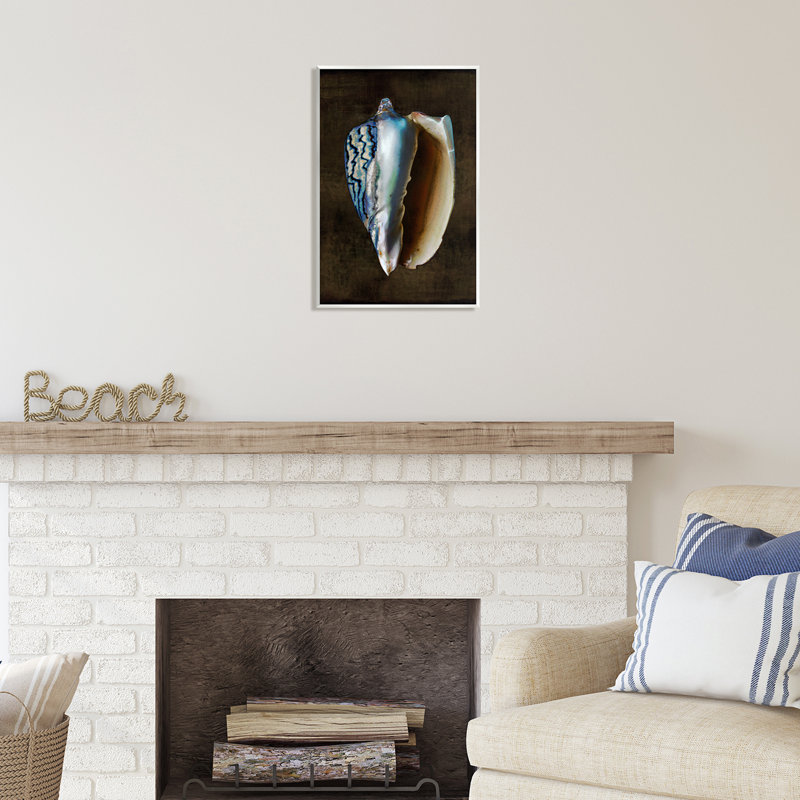 Conch Shell On Black par Caroline Kelly, H 19 po x l 13 po x P 0,5 po