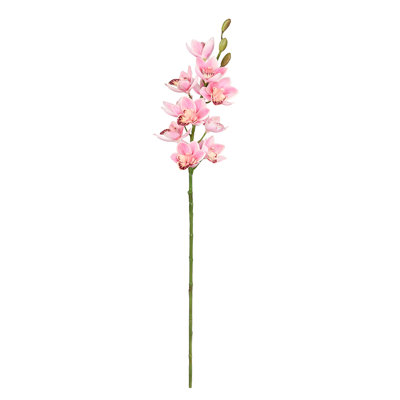 Orchid Arrangement