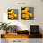 Yarlin Meyer Lemons-111887944