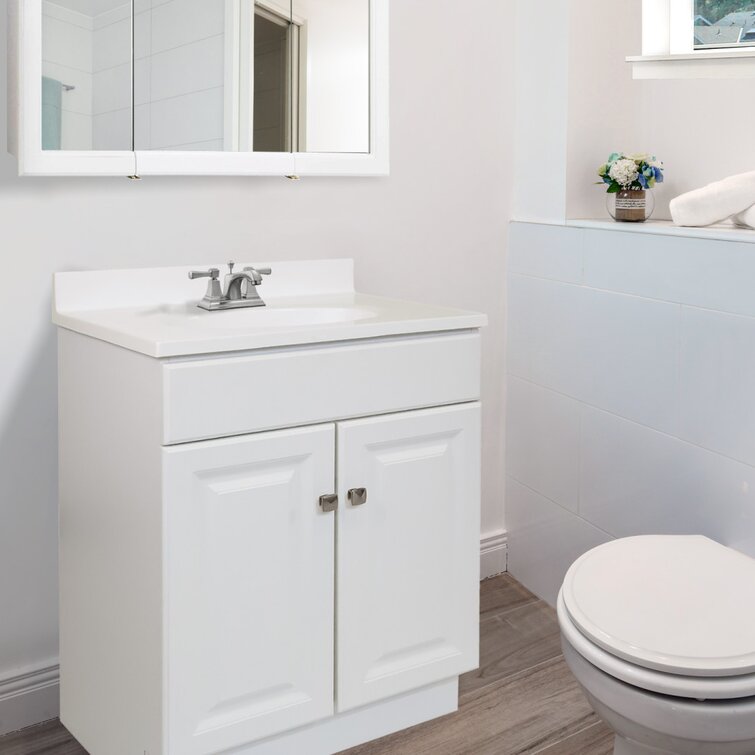 https://assets.wfcdn.com/im/44087208/resize-h755-w755%5Ecompr-r85/1167/116729623/Searle+24%27%27+Single+Bathroom+Vanity+Base+Only+in+White.jpg