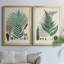 Collection Ferns I - ensemble de 2 reproductions d'art sur toile encadrées-1084683858-1084683857