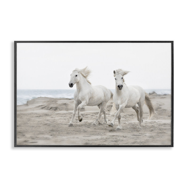 Giclée encadrée, dessin par Danita Delimont, H 12 po x l 18 po, Giclée encadrée noir minuit
