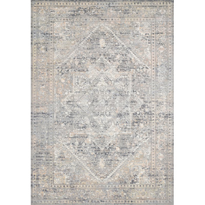 Cudahy Oriental Indoor Rug