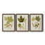 Feuilles antiques IV - ensemble de 3 peintures sur toile encadrées-1306045713-1306045717