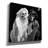 'Newlyweds' by Decent Exposures Canvas Wall Art