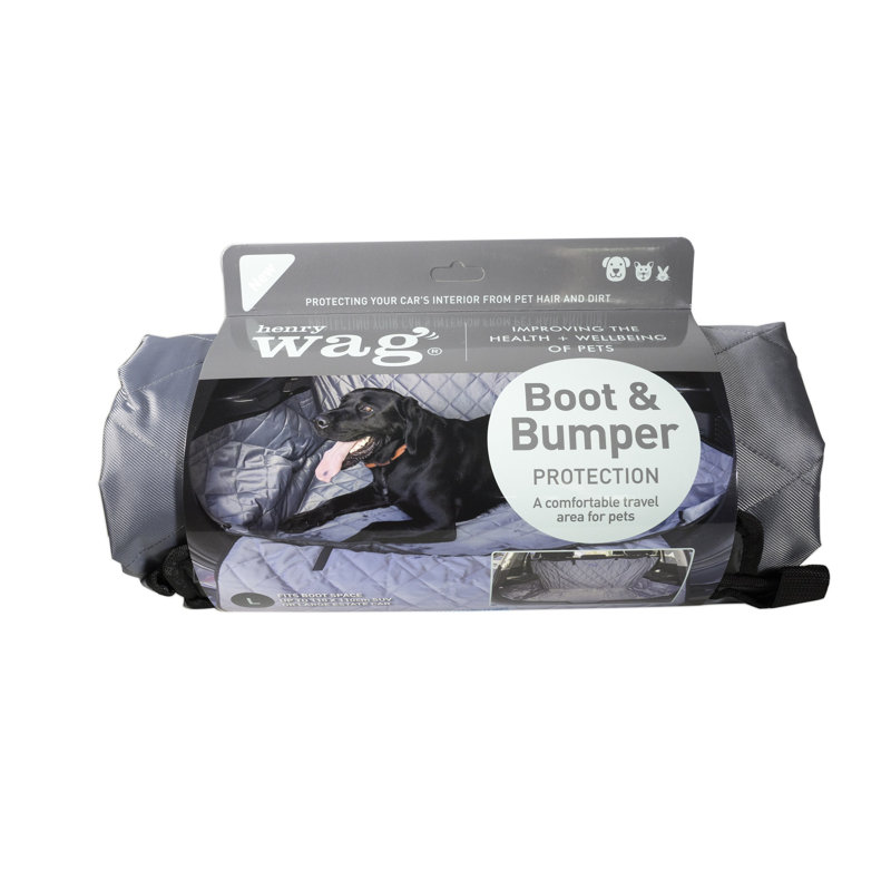 Collapsible Pet Carrier
