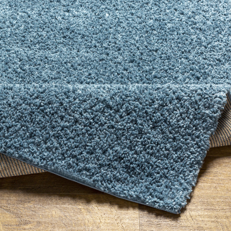 Ailyah Performance Indoor Rug, Rectangle 2' x 3'