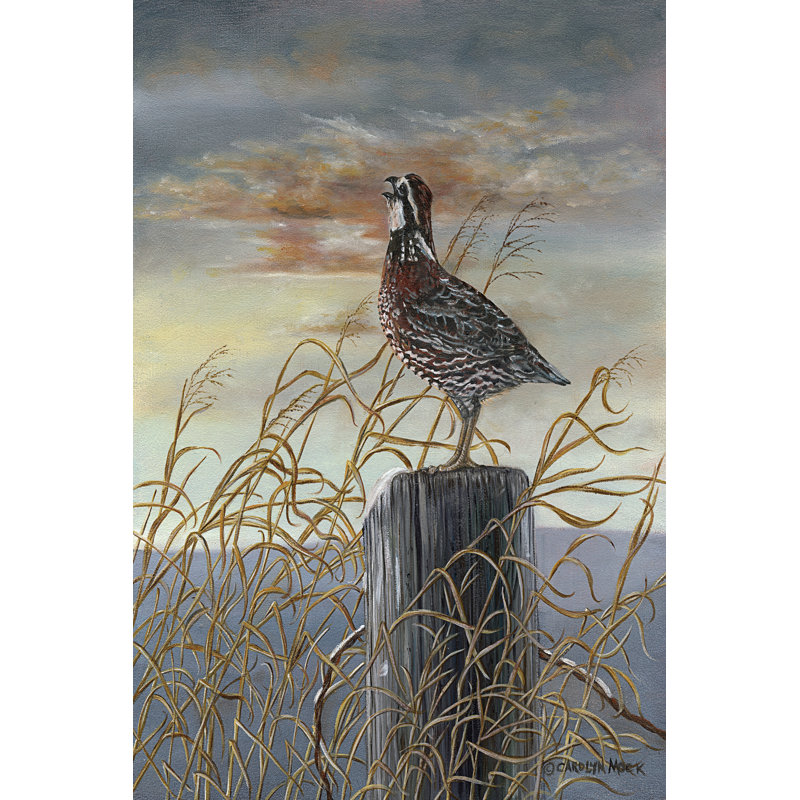 Quail On A Post by Carolyn Mock - Wrapped Canvas Painting, 46cm H x 30cm W x 3.8cm D