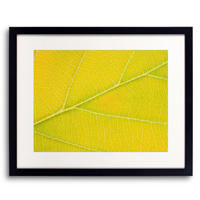 Autumn Leaf Print by Philippe Monthoux