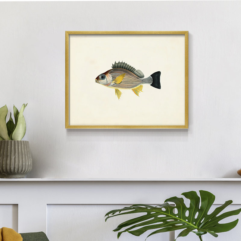 Tropical Fish Collection III -Framed Print - Restickable