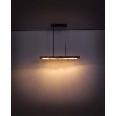 Ashleigh 1 - Light Black LED Pendant