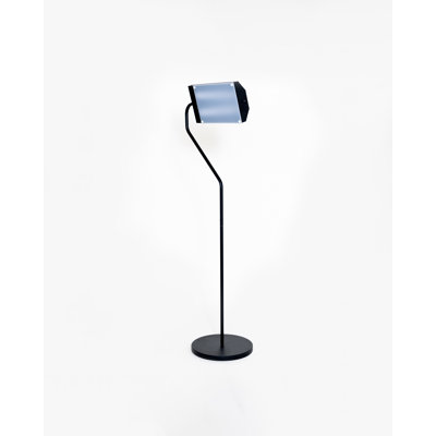 Ciane 46'' Matte Task Floor Lamp