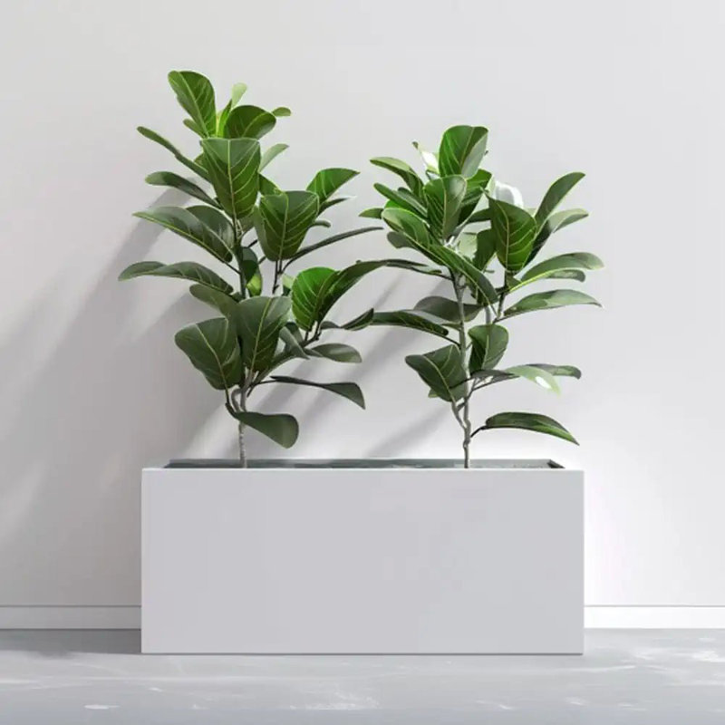Reny Galvanised Zinc Trough Planter, 40cm H x 120cm W x 40cm D, White