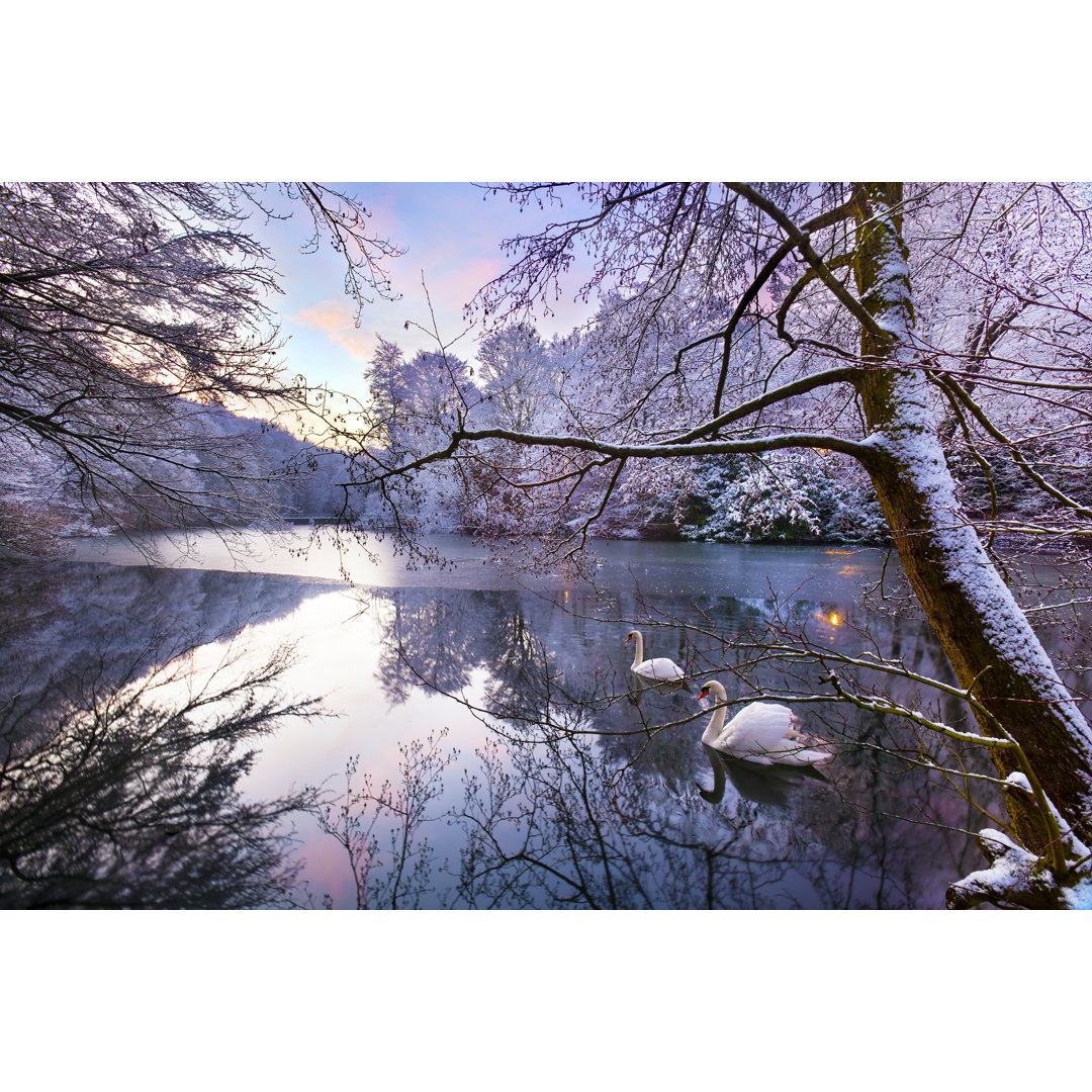 Gledhow Lake In Winter von Dark_Eni - Kunstdrucke auf Leinwand ohne Rahmen