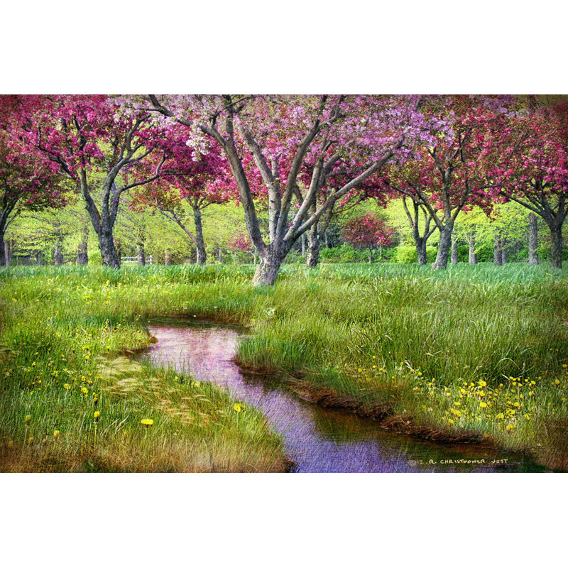 «Summer Spring» par Chris Vest - impression sur toile tendue, H 8 po x l 12 po