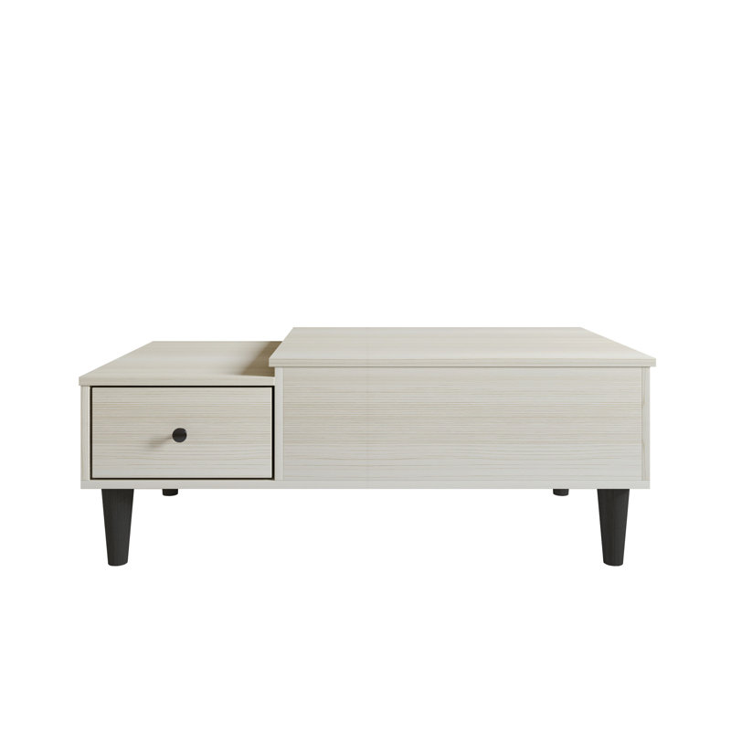 Caribou Lift-Top Coffee Table with Hidden Storage and Drawer, Light Gray