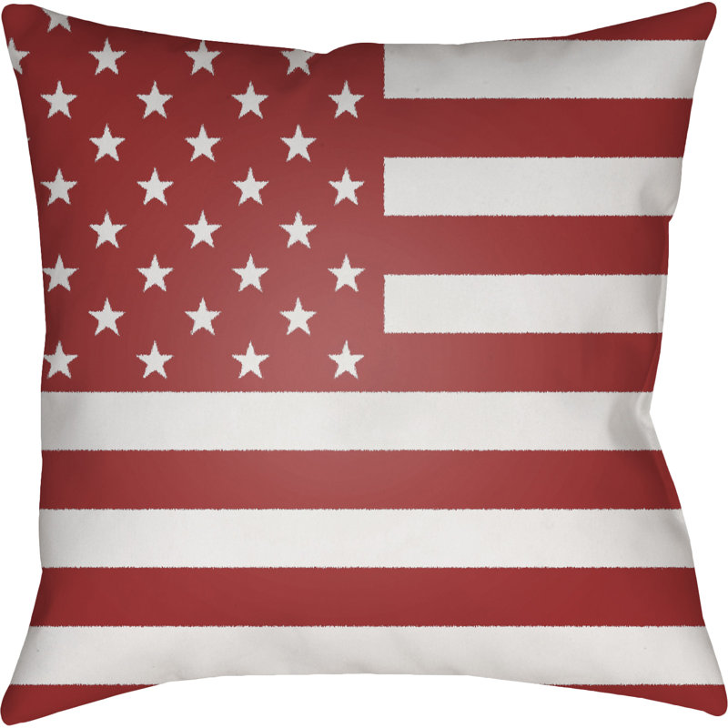 Outdoor Throw Pillow, 18" H x 18" W x 4" D, Blue
