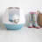 Basic Plastic Enclosed Litter Box-40414463-29831390