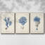 Corail antique en bleu marine, ensemble de 3 pièces encadrées sur toile-97760006-97760004