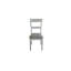 Ensemble de 2 chaises d'appoint House Gray