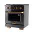 30 in. 4.2 cu. ft. 4 Burners Dual Fuel Range with Kucht Horus Thermostat-1809821348-1809821349