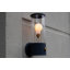 Muse 1 - Light Wallchiere-415224063