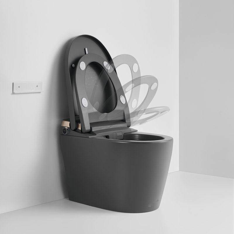 15-3/4'' H Floor Mount Smart Toilet with Tankless and Soft-closing Heated Seat, Matte Gray with Tankless