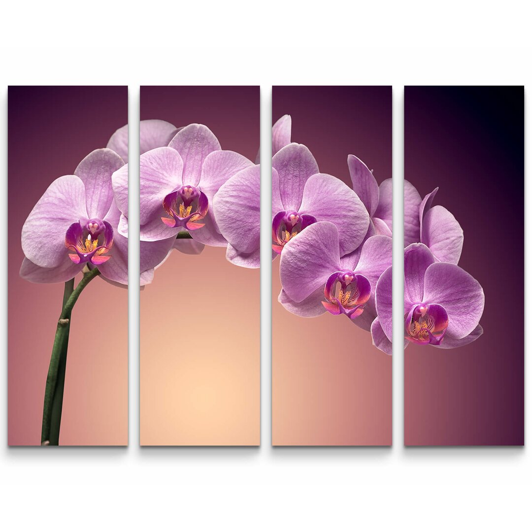 4-tlg. Leinwandbilder-Set Rosa Orchideenrispe