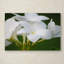 «Image Perfect», reproduction de photo sur toile tendue-2118301554