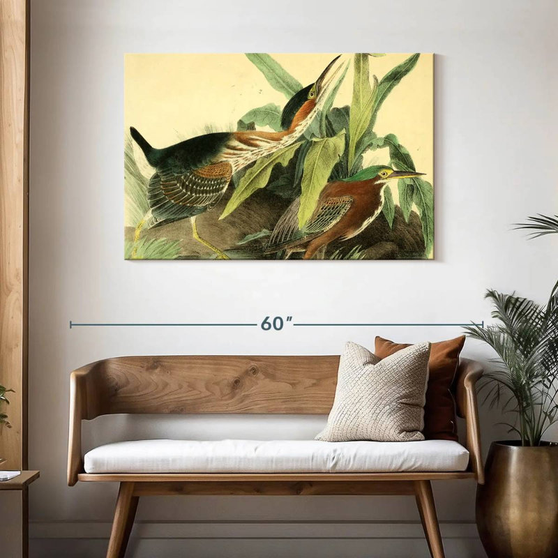 Bramon, héron vert d'oiseaux d'Amérique, H 30 po x l 45 po