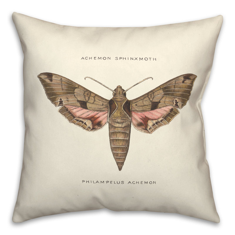  Moth Diagram Square Pillow Cover & Insert