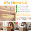 10 - Light Chandelier