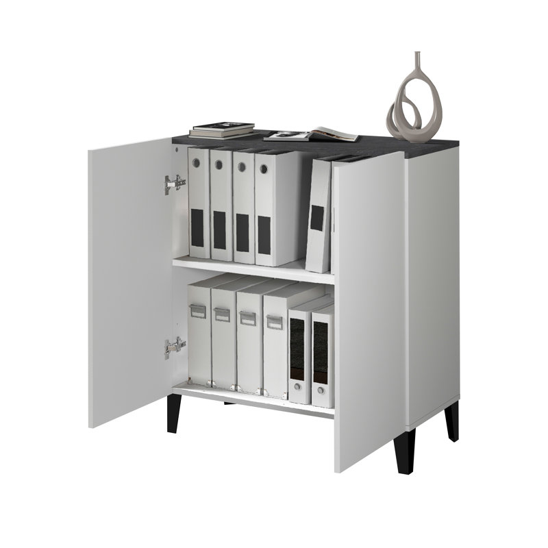 Ryung 2 -Door 1 -Shelf Storage Cabinet, White/Black