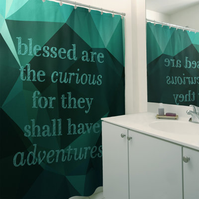 Shower Curtain and Liner Included
