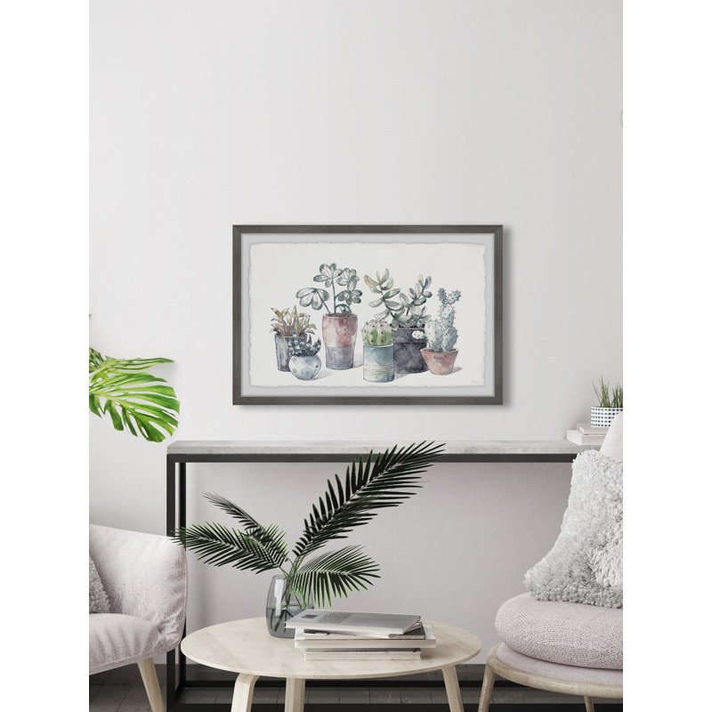 Succulent In Display Planters by Parvez Taj - Single Picture Frame Painting, 61cmH x 91cmW