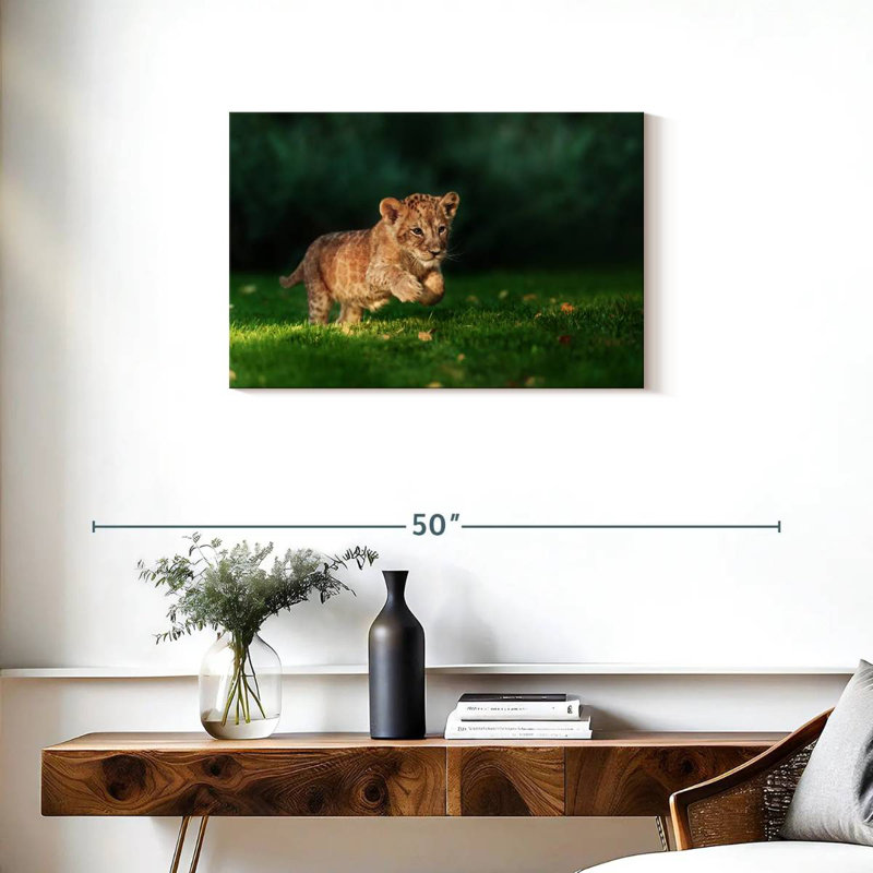 Chat sauvage Brampt, H 20 po x l 30 po