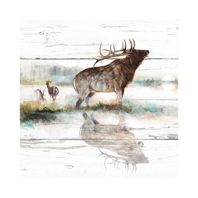 Rustic Misty Elk by Ruane Manning - Wrapped Canvas Print, 30.48 cm H x 30.48 cm W