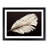 Bird Feather - Single Picture Frame Print-213021706-213021707