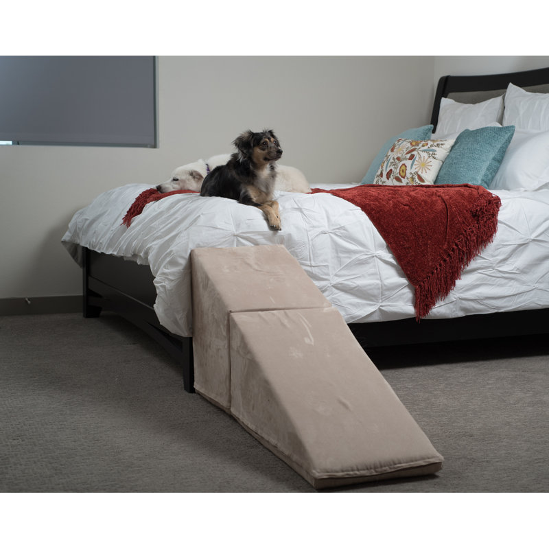 Très large rampe pour animaux 21 po, Brun clair huître