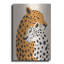 «Leopard Mom» par Andreas Magnusson, art mural en métal-587857340