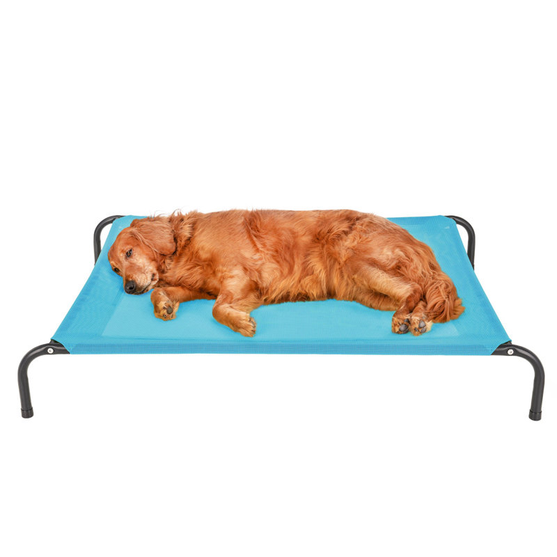 Elevated Cot Pet Bed, Blue, 8" H x 36" W x 49.5" D