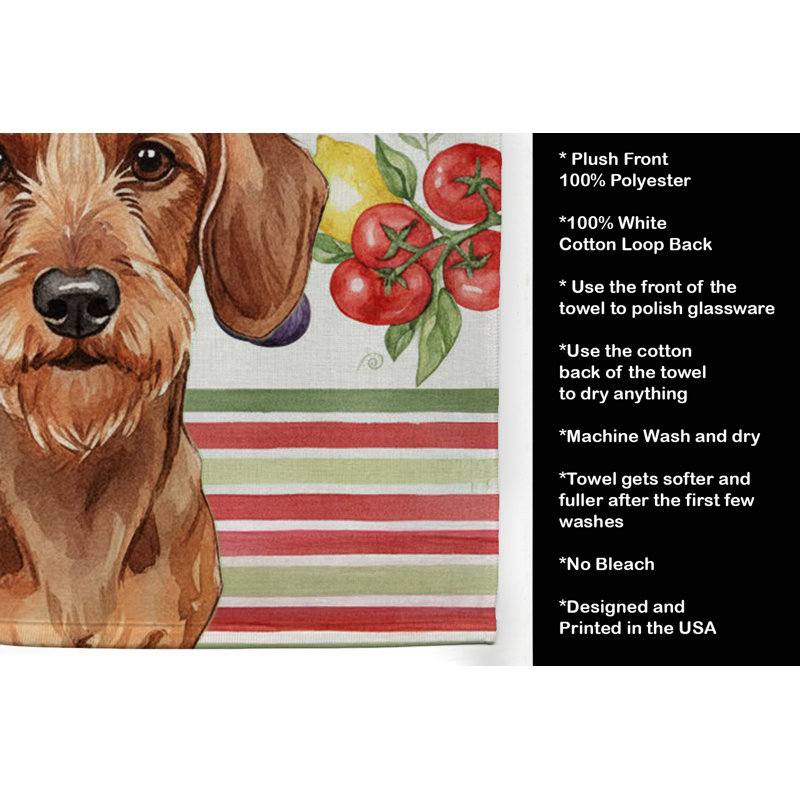 Serviette de cuisine Wirehaired Red Dachshund, Teckel rouge à poil dur