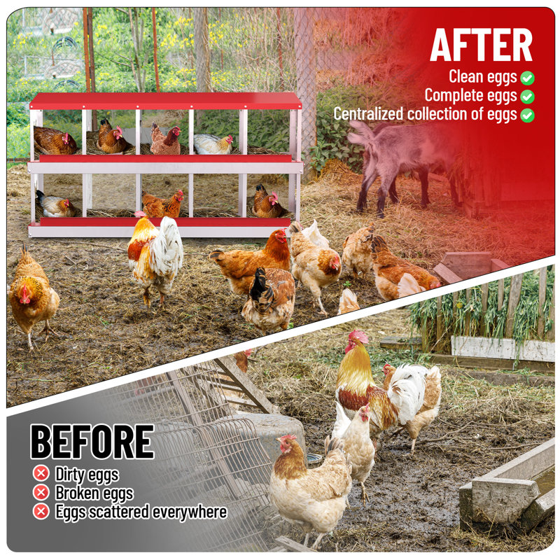 Chicken Coop, Red