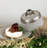 Heirloom Swirl Cheese Dome and Plate