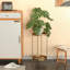 2 Tiers Tall Plant Display Storage Shelf Table, Plant Stand for Bathroom Office-2126579011