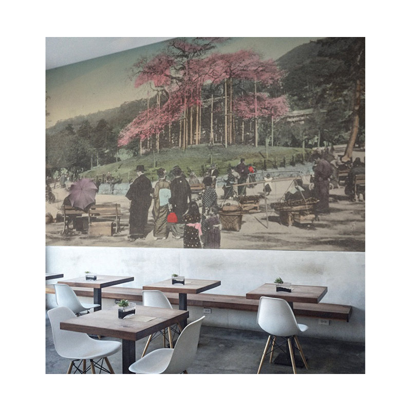 Bohall 2.5m x 2.5m Matte Mural, 250 x 250cm