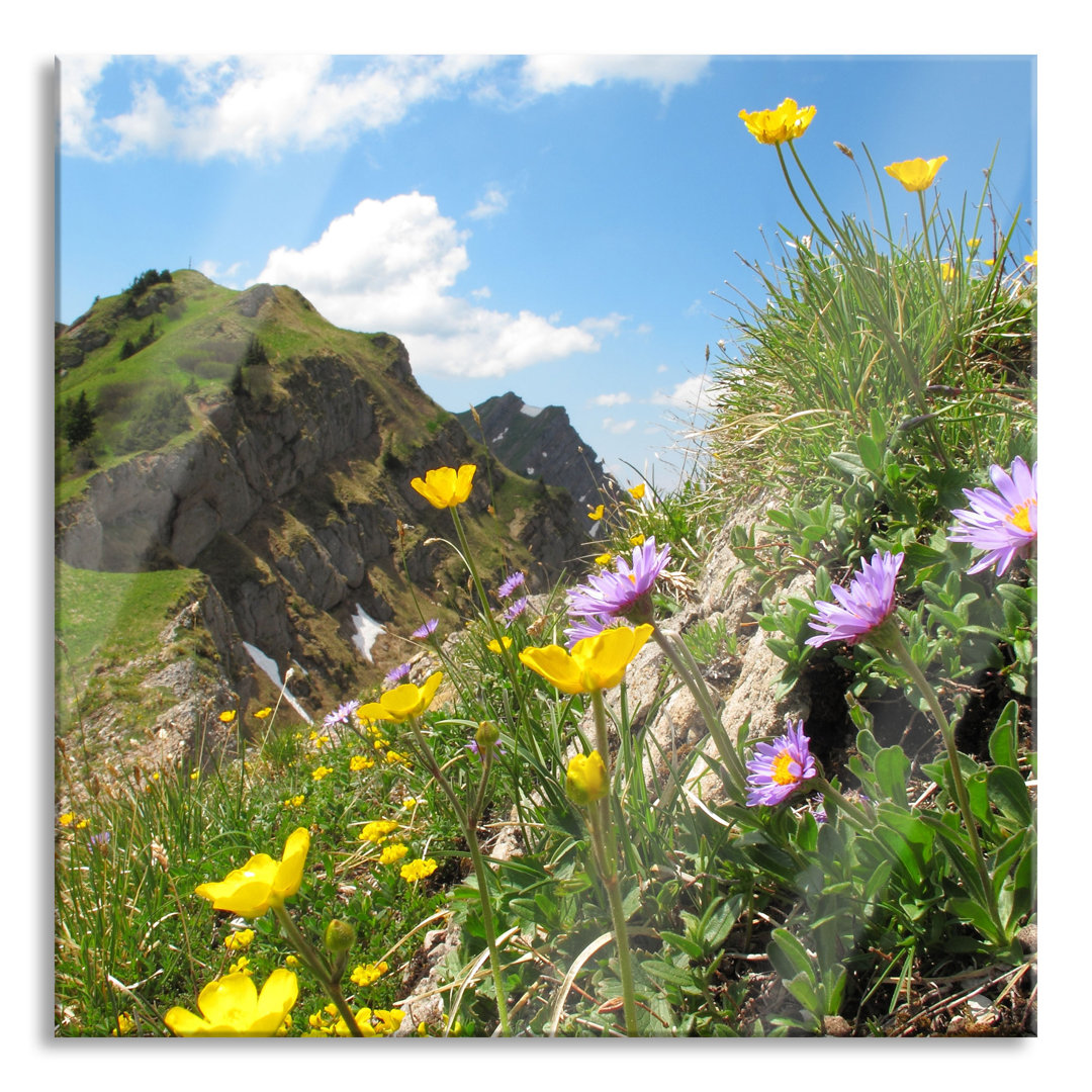 Glasbild Blumenwiese im Frühling