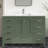 Anvay 48 in. Single Sink Freestanding Bath Vanity in Forest Green with Carrara Quartz Top-771956955-691918557