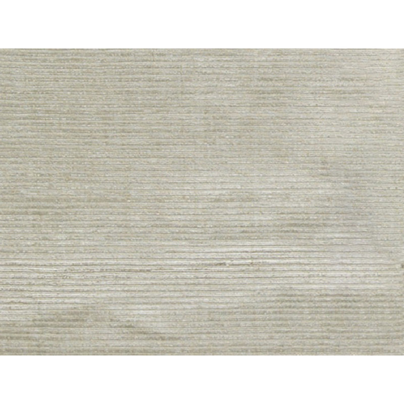 Area Rug in Gray